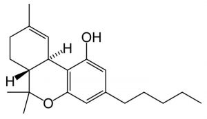 Yüksek THC seviyesine sahip kenevir türlerin günlük tüketimi